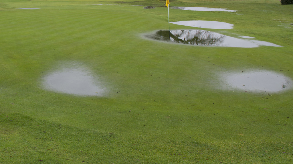 1024 x 576 waterlogged greens