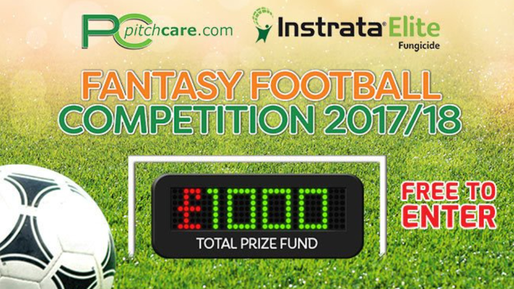 Fantasy Football League