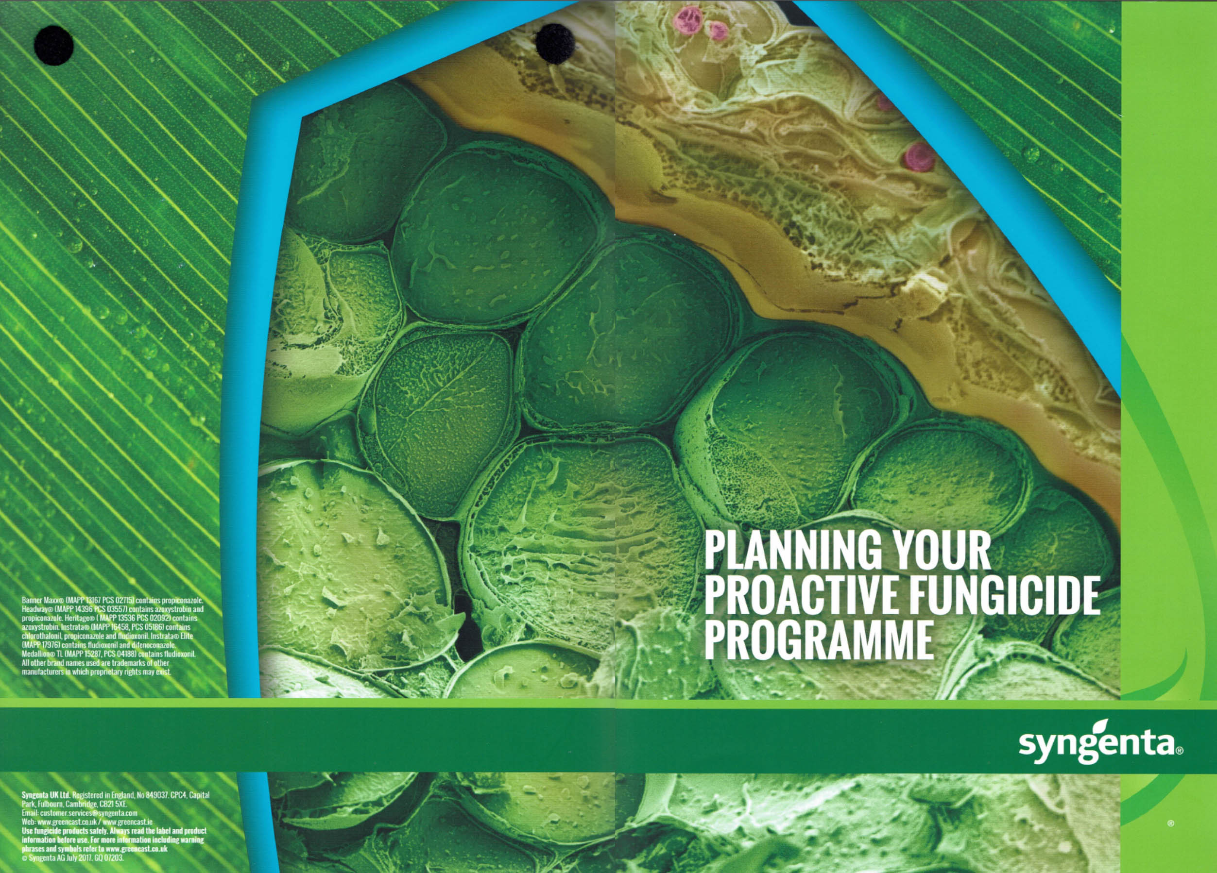 Fungicide planning guide