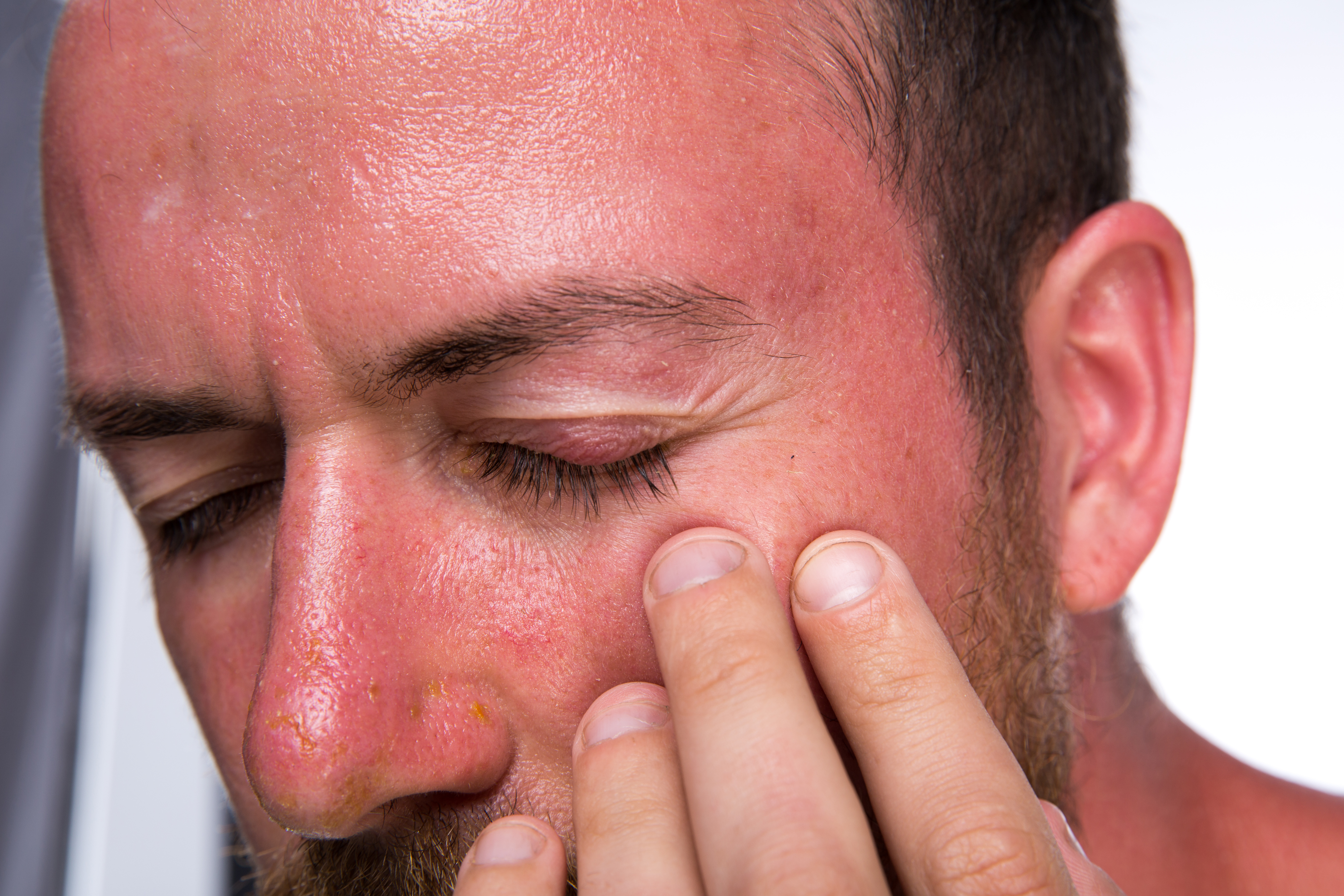 shutterstock_446694913