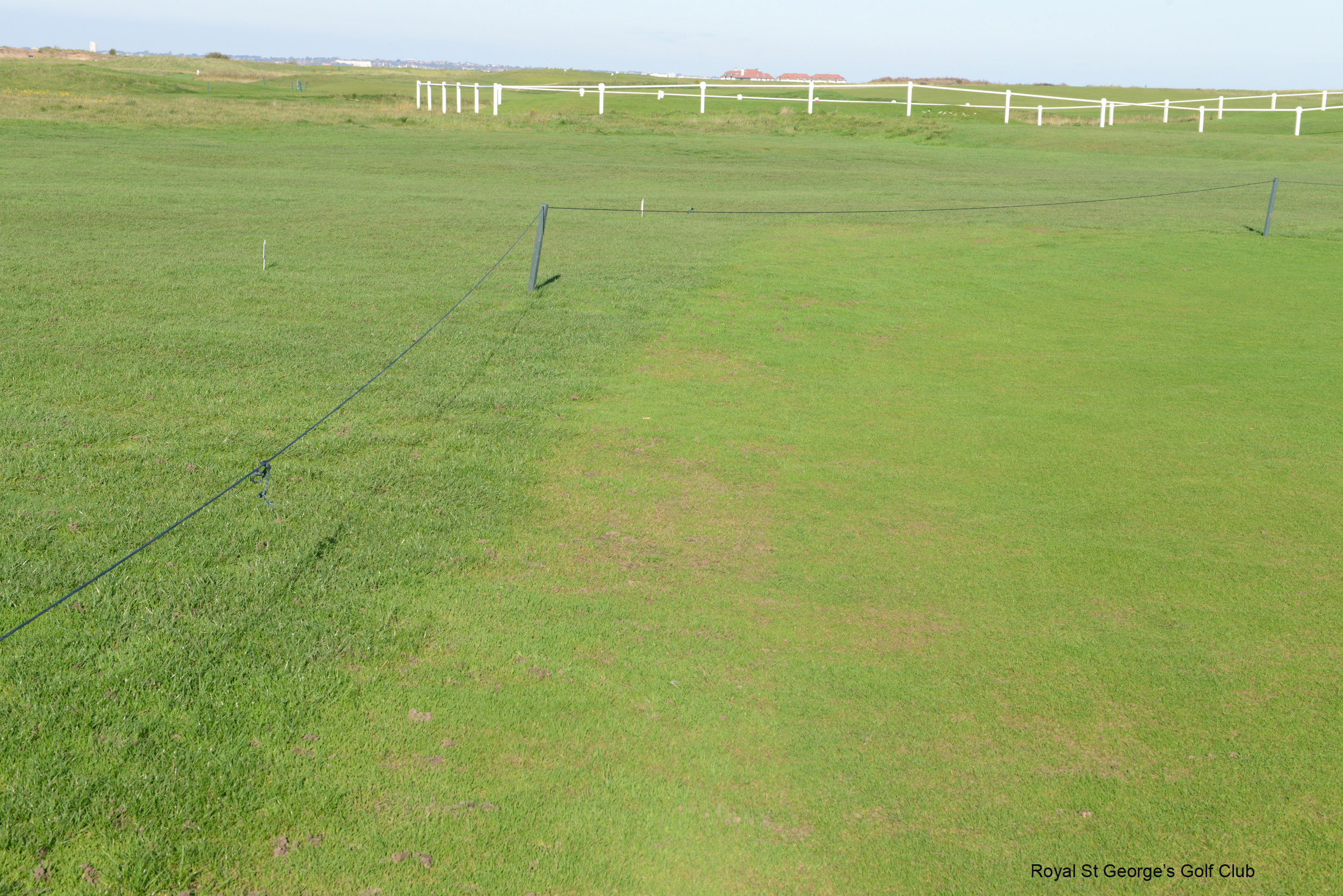 Rescue treated vs untreated - lr