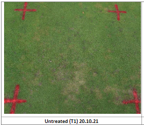 This image has an empty alt attribute; its file name is image-10.png