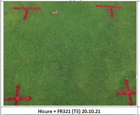 This image has an empty alt attribute; its file name is image-7.png