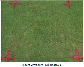 This image has an empty alt attribute; its file name is image-9.png