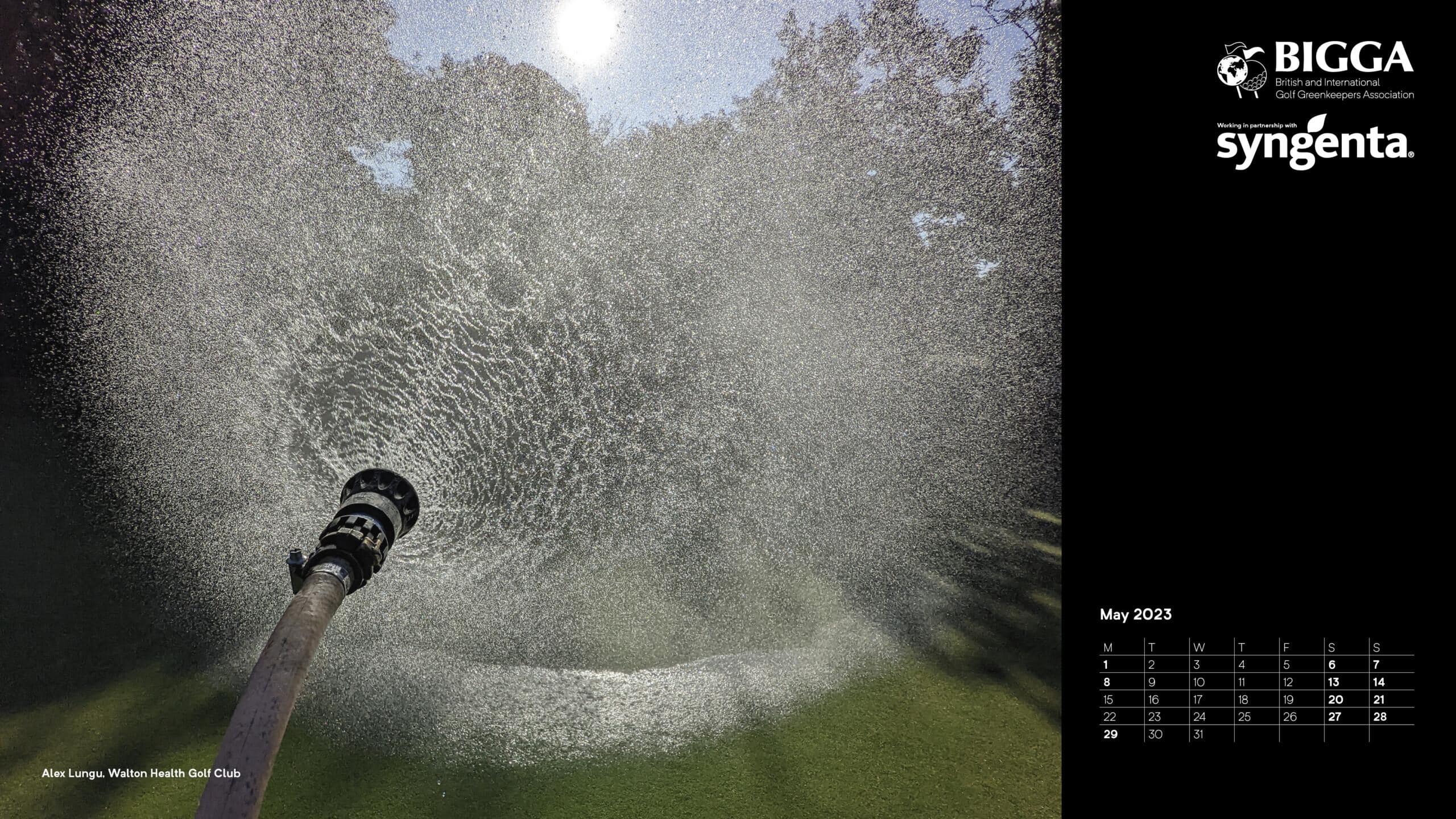 BIGGA Calendar 2023 Free to Download - sponsored by Syngenta