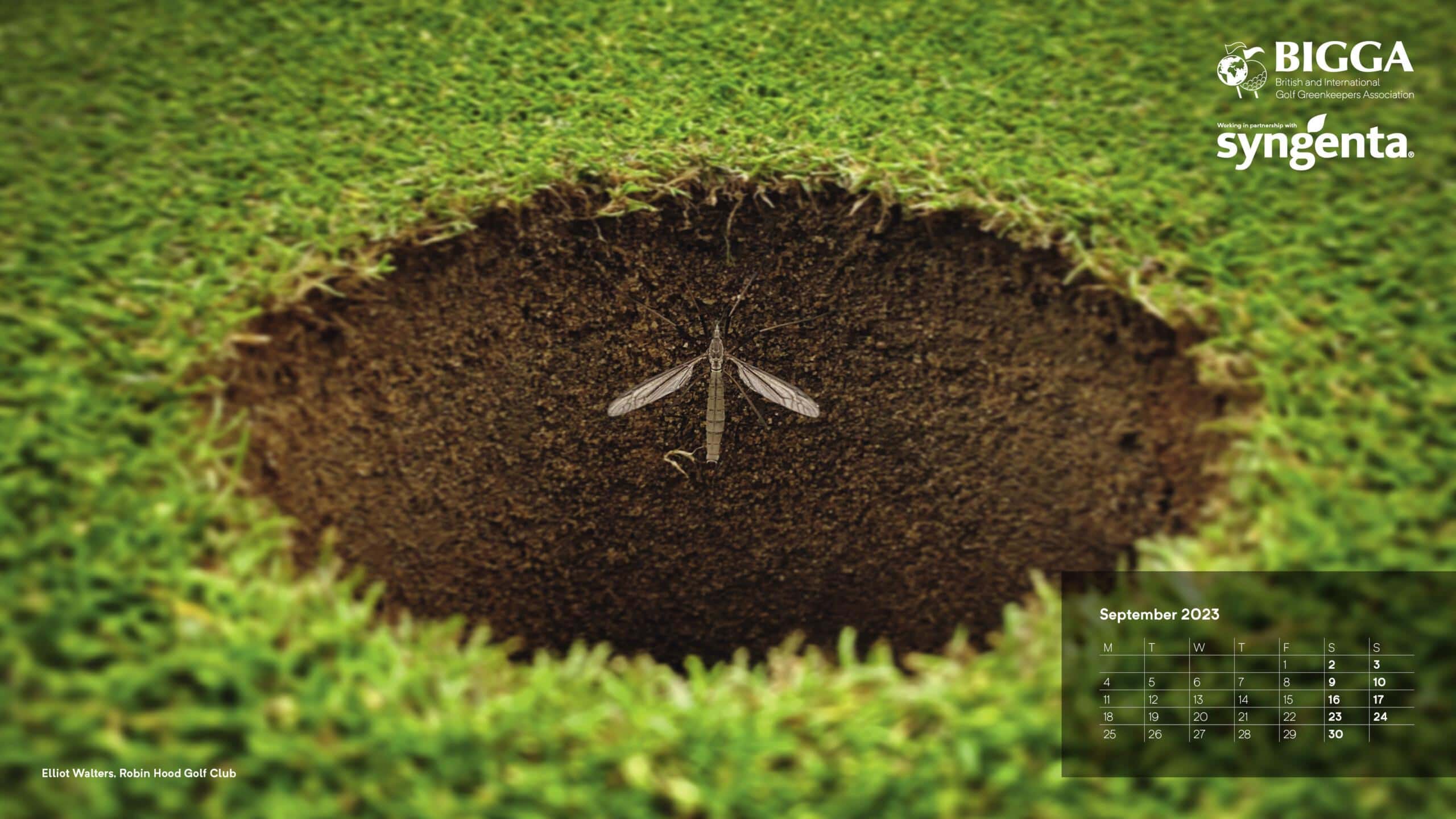 BIGGA Calendar 2023 Free to Download - sponsored by Syngenta