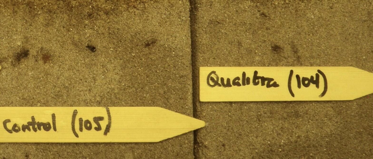 When the Rain Arrives for Turf Managers