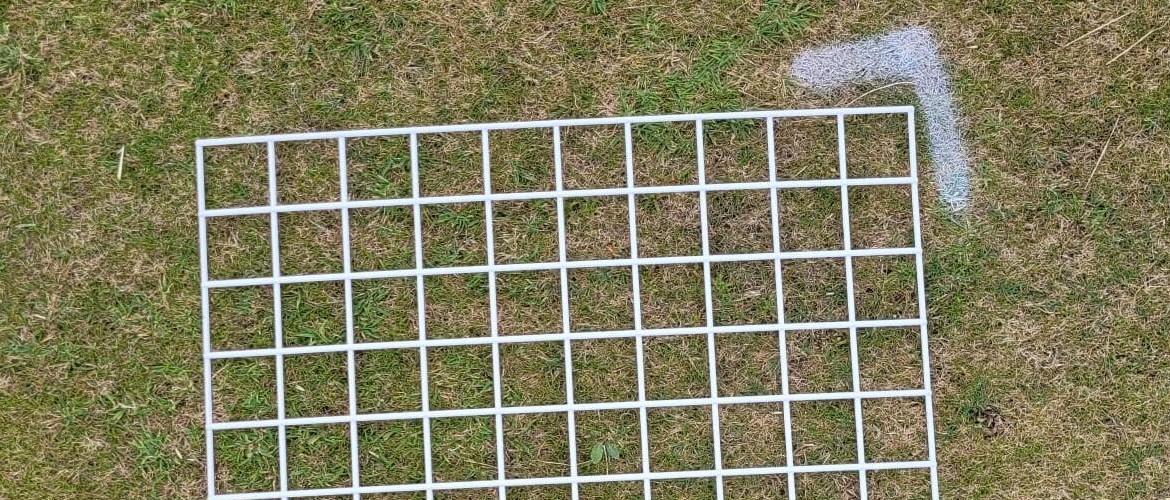 Dollar Spot - Syngenta Golf Clubs