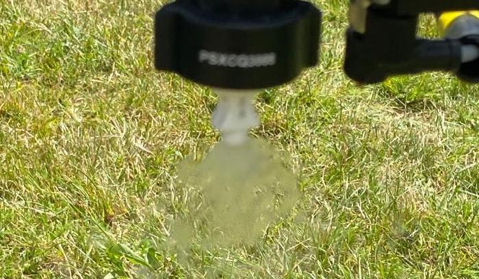 Leatherjacket workshop, combining Acelepryn and Nematrident