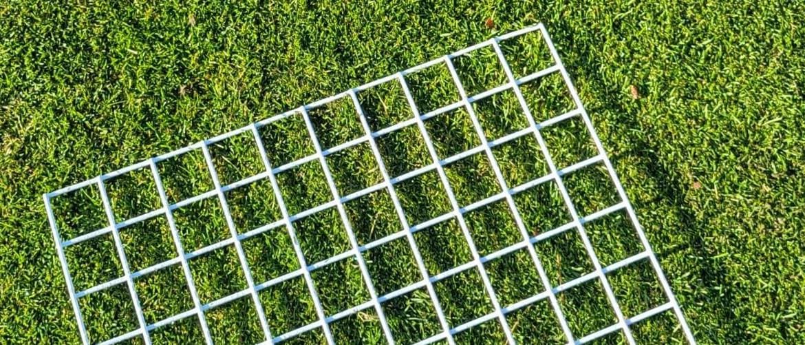 Dollar Spot Trials in the UK