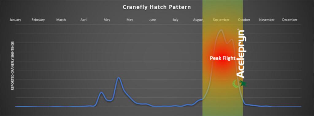 get the best out of your Acelepryn and NemaTrident applications. 