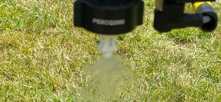 Acelepryn for Leatherjackets this season