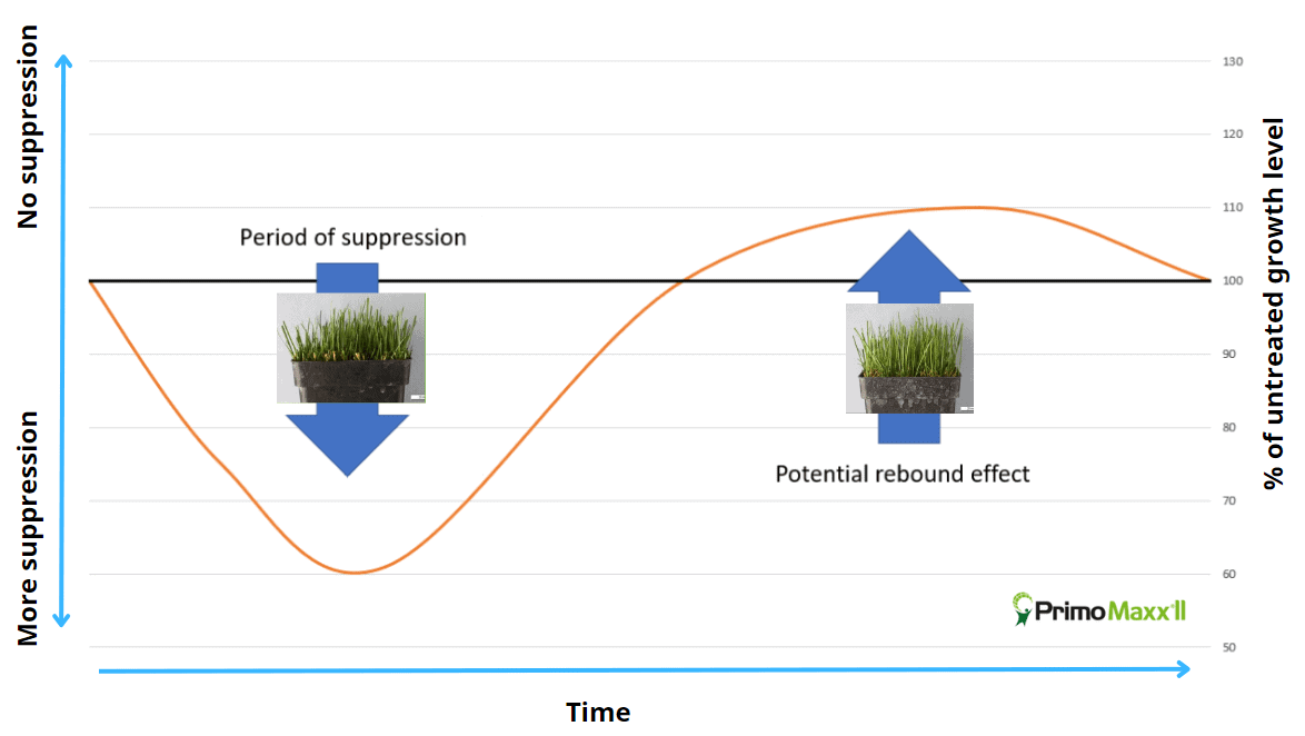 Plant Growth Regulators - the rebound curve