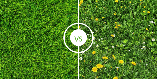 Weeds are a part of the natural habitat, and can be a real asset to the golf course, but there are limits