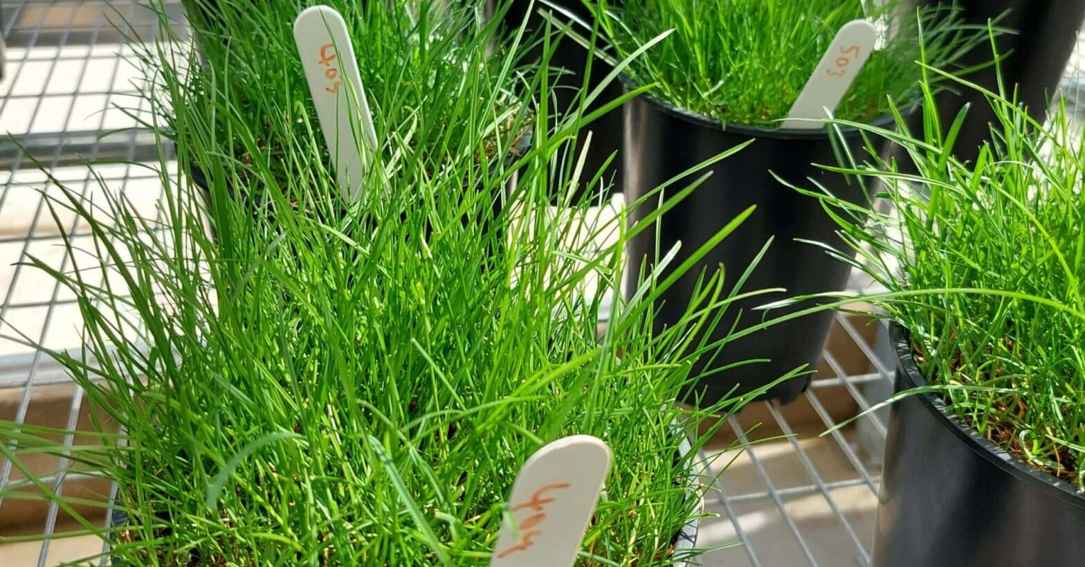 It's sunny, it's hot, no one is denying that. But while it feels good to relax and enjoy better conditions here are a few thoughts to remember.