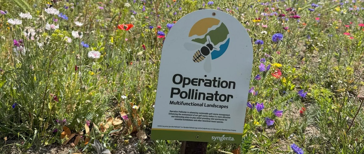 Operation Pollinator - Join the Community