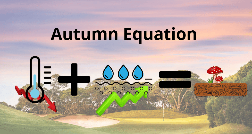 Autumn Turf Management