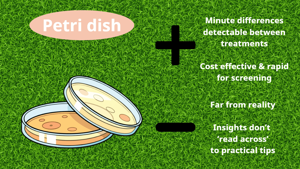 Turf Trial Insights – from Petri Dish to Putting Green