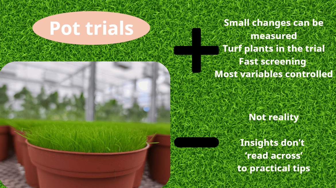 Turf Trial Insights – from Petri Dish to Putting Green