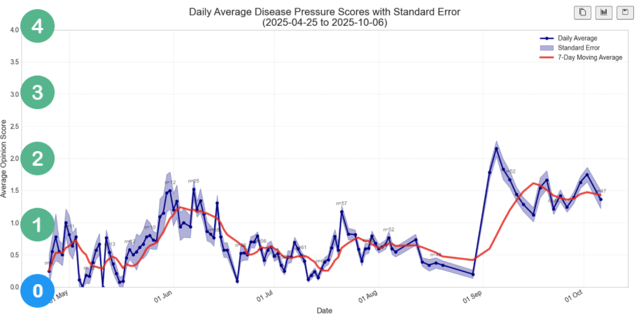 How to spot Microdochium in turf and lawns How to spot Microdochium in turf and lawns